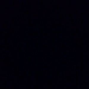 Meet your Posher, Kitty